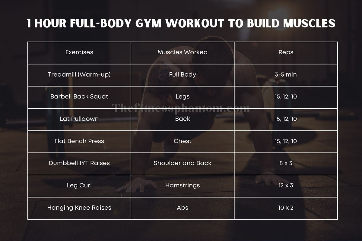 1 Hour Full Body Workout to Build Muscle at Home & Gym 1 hour full body gym workout