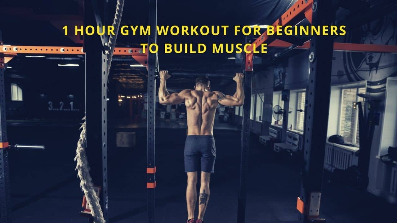 1 Hour Gym Workout For Beginners To Build Muscle