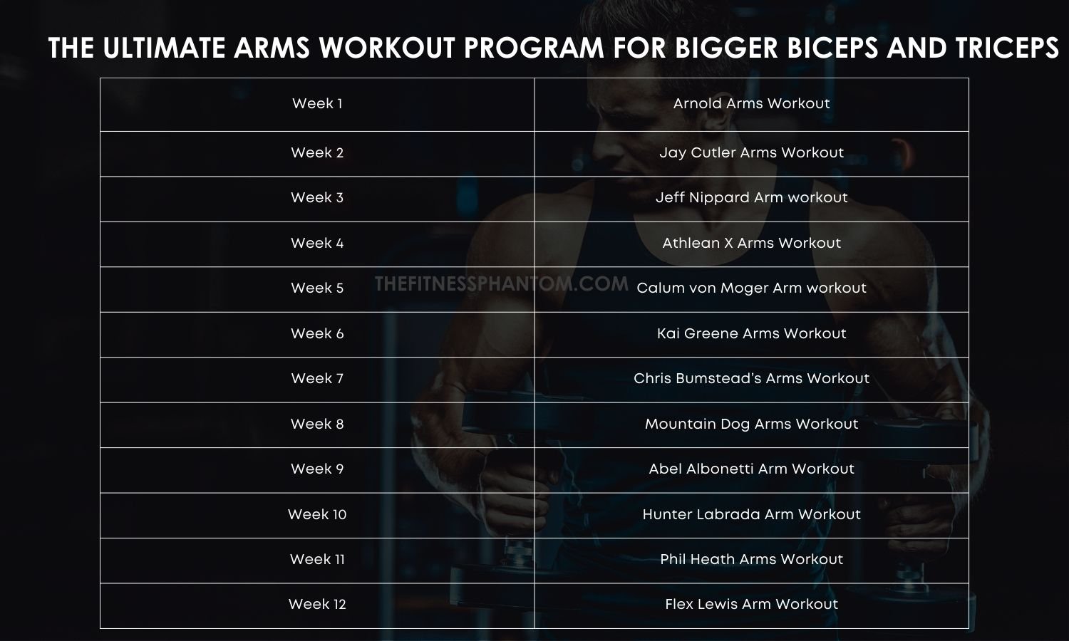 12 Week Arms Workout Routine Overview
