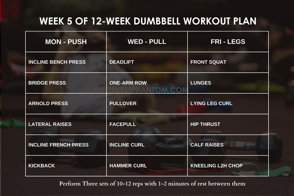12 week dumbbell workout program