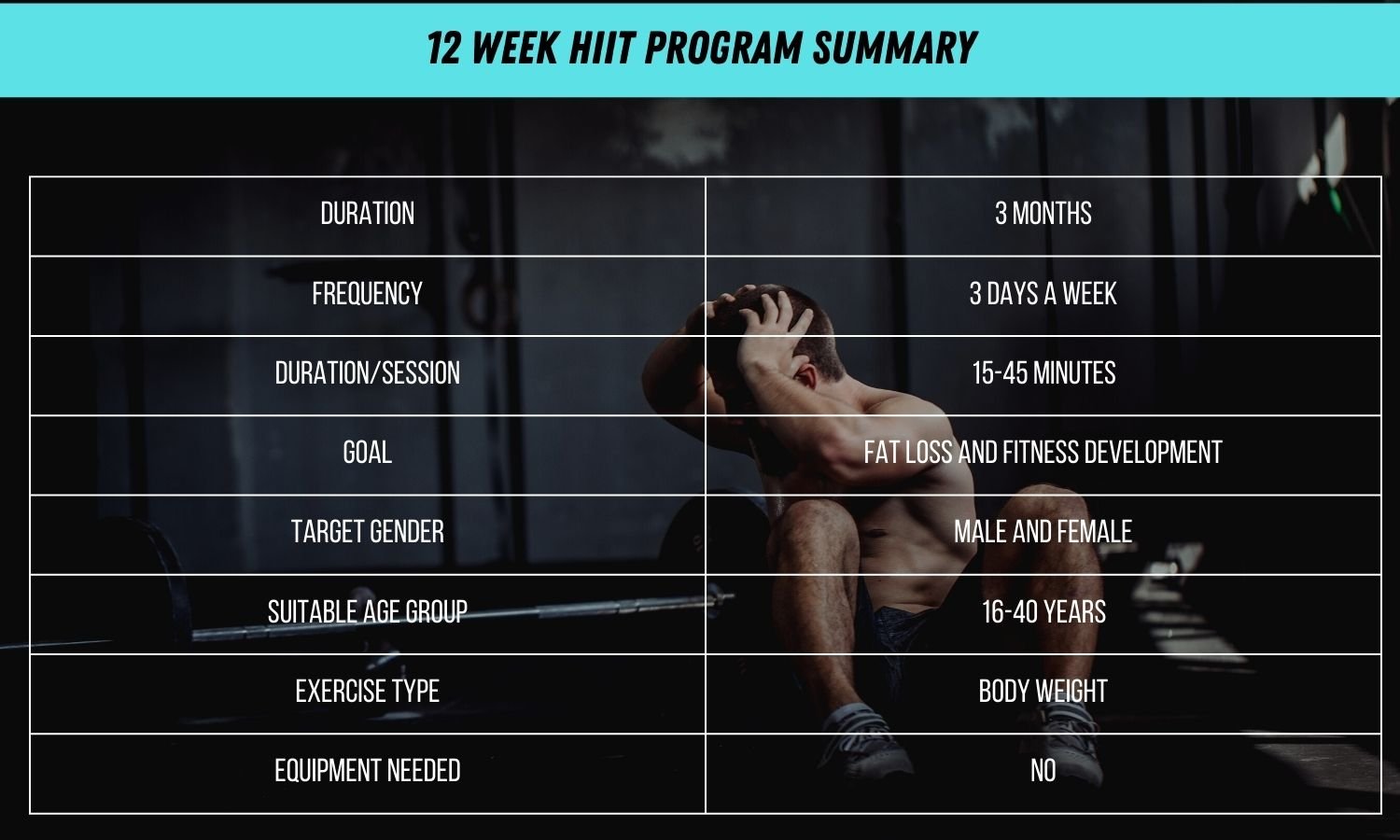 12 Week HIIT Program Summary 12 Week HIIT Program Summary