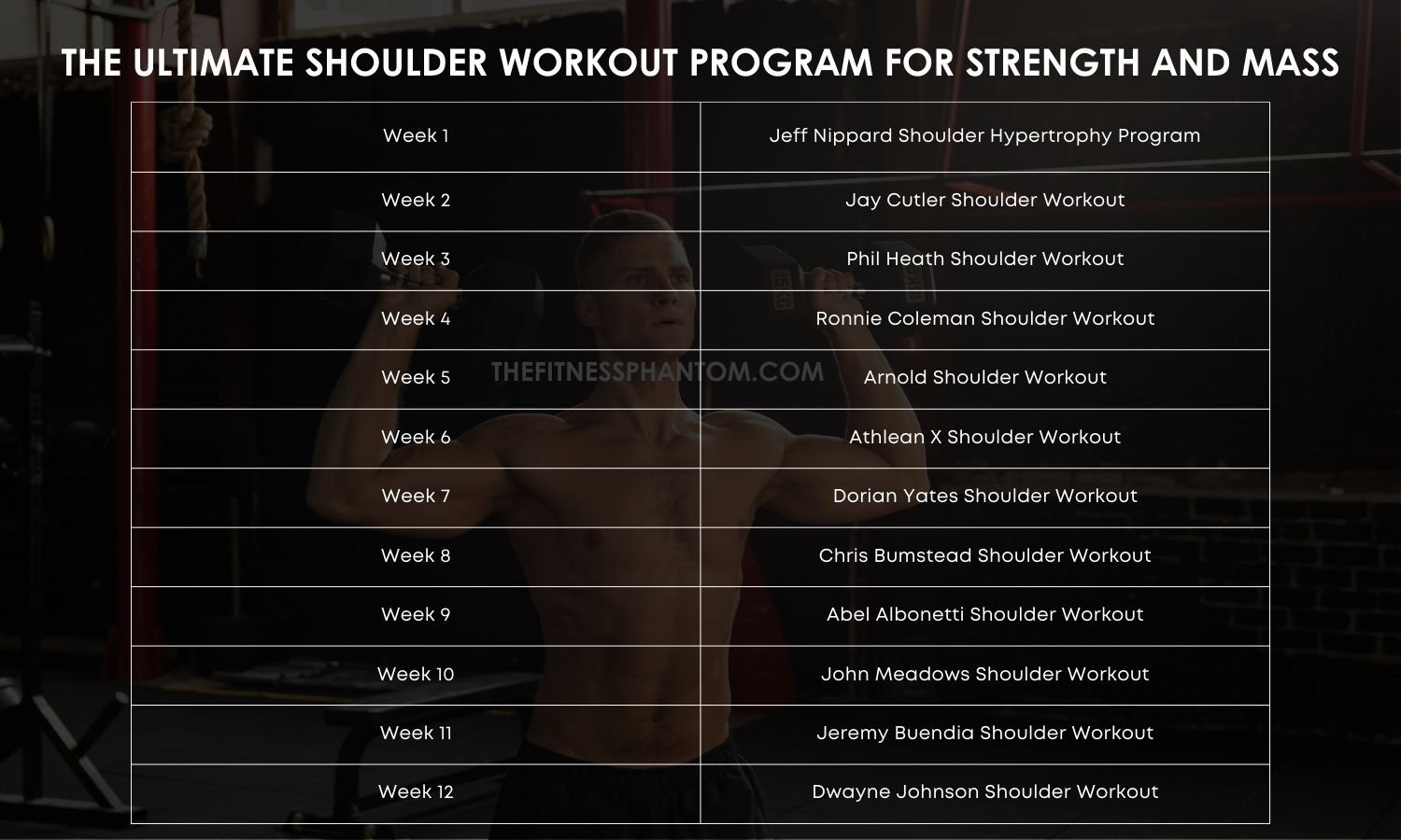 12 Week Shoulder Workout Program