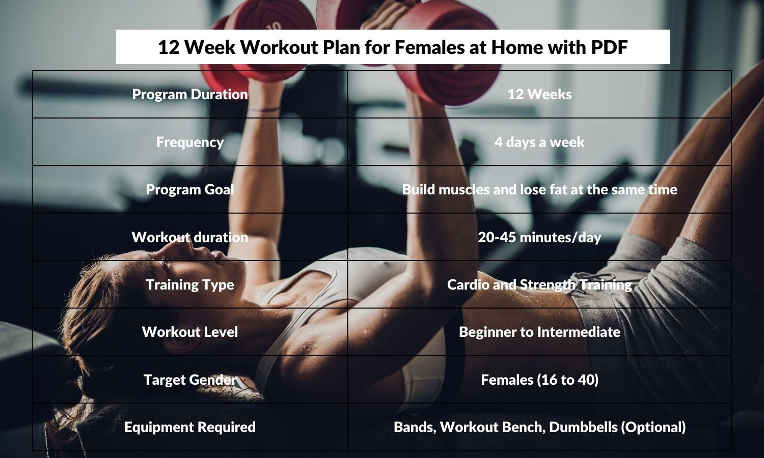 12 Week Workout Plan for Females Summary