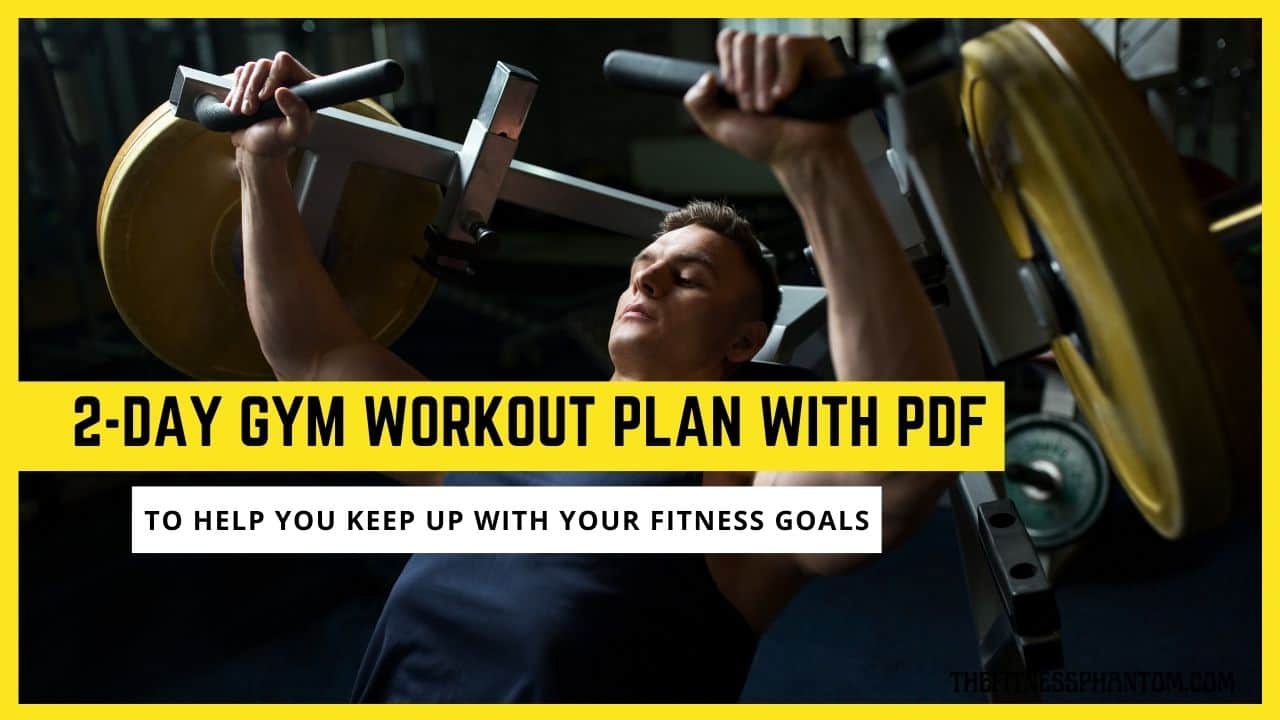 2 Day Gym Workout Schedule