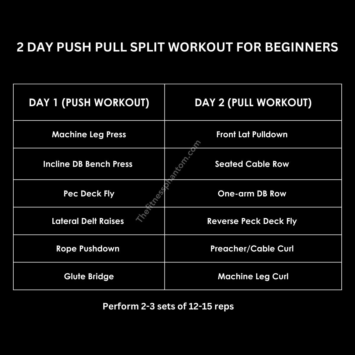 2 Day Push Pull Split Workout for Beginners