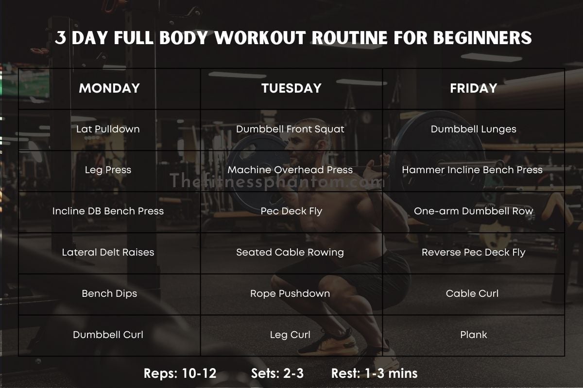 3 Day Beginner Full Body Workout Routine