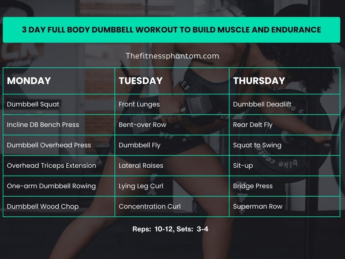 3 Day Dumbbell Only Full Body Workout