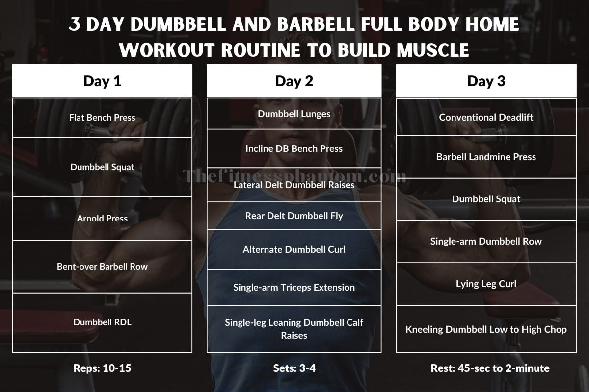 3 Day Dumbbell and Barbell Full Body Home Workout Routine to Build Muscle