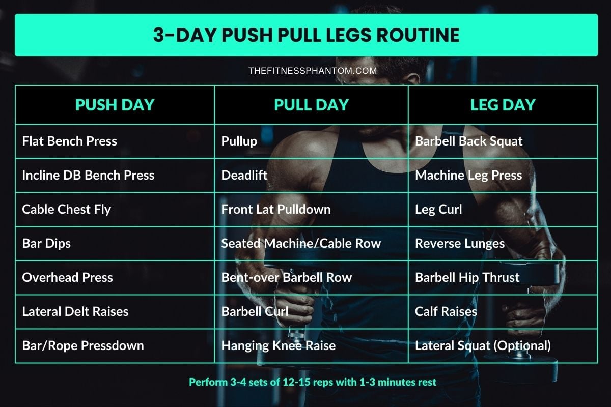 The Best Push Pull Legs 3 Day Split Routine (PDF Included) 3 Day PPL Workout Plan