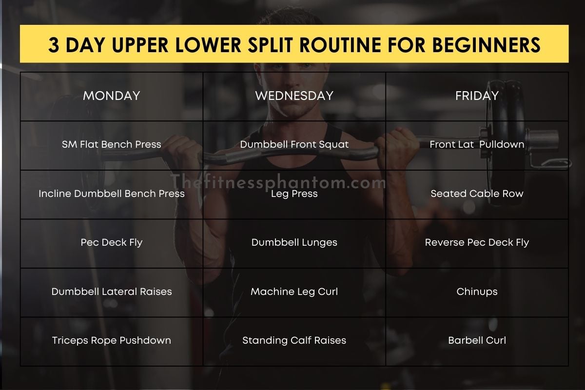 3 Day Upper Lower Split Bodybuilding