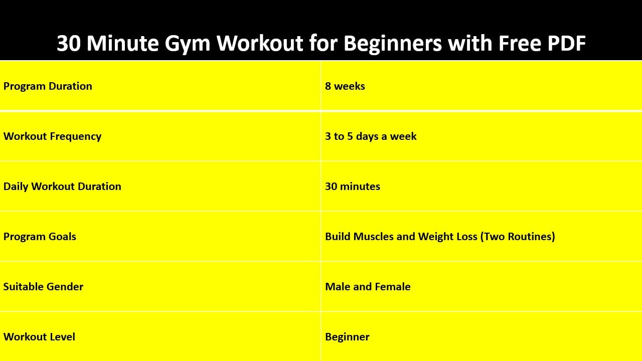 30 Minute Gym Workout For Beginners