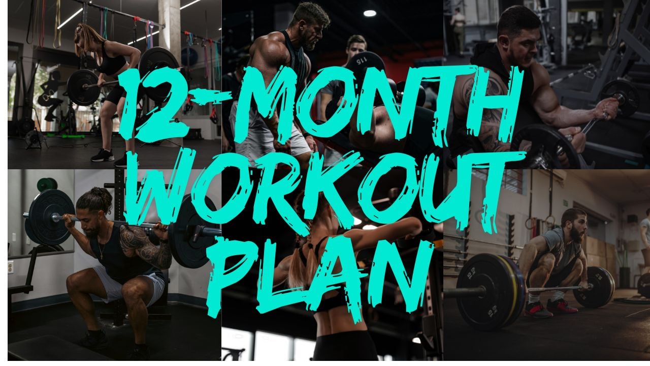 365-Day Muscle Building Program