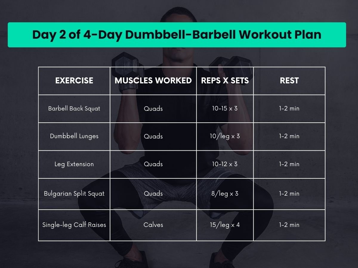 4 day Barbell and Dumbbell Split workout