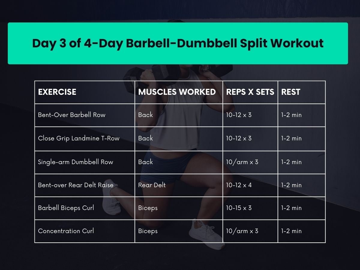 4-Day Barbell Dumbbell Split Workout