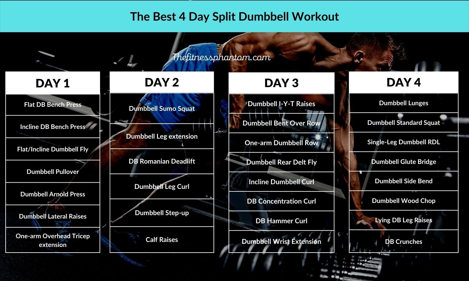 4-Day Split Dumbbell Workout