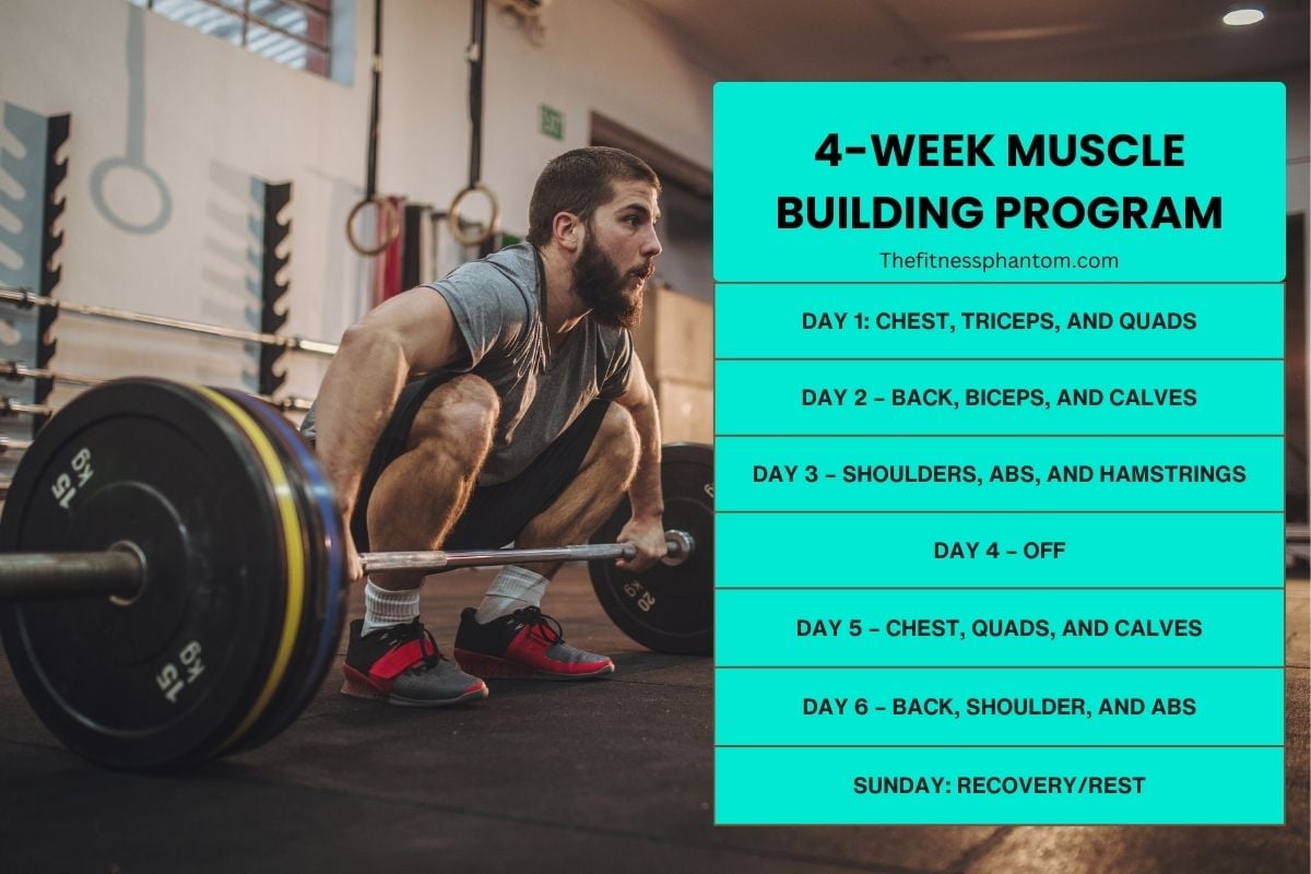 Best 4-Week Muscle Gain Workout Plan (Free PDF) 4-Week Muscle Gain Workout Plan
