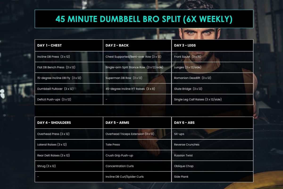 45 Minute Dumbbell Bro Split (6x Weekly)
