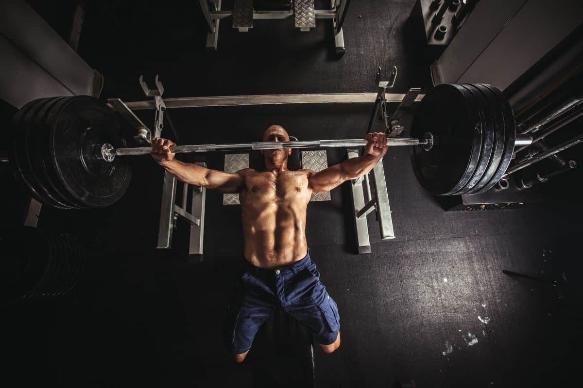 5 Day Bro Split Routine: Train One Body Part a Day best 5 day bro split