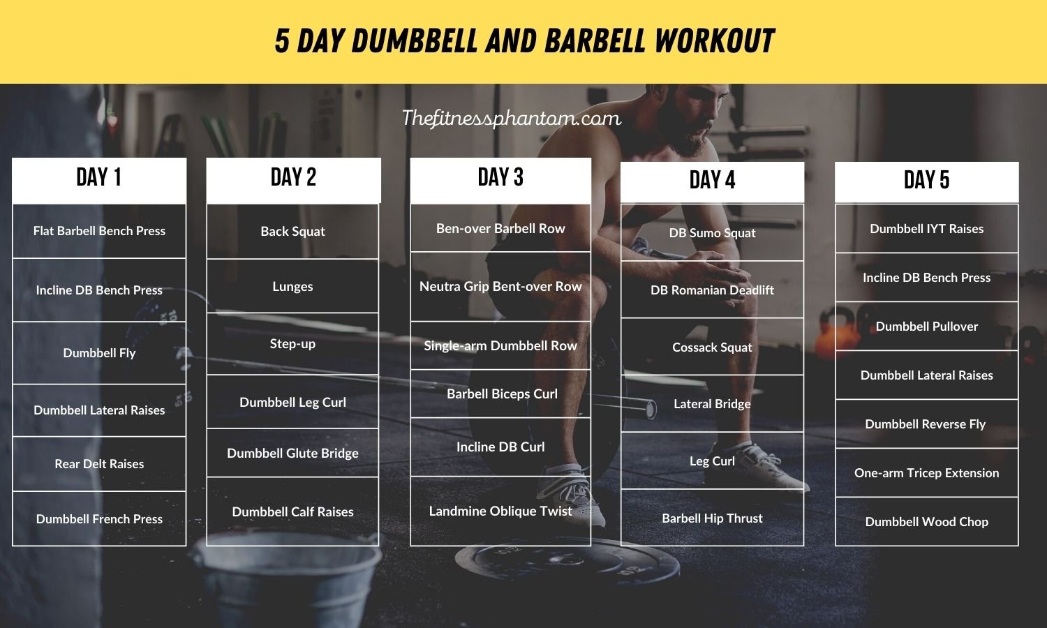 5 Day Dumbbell and Barbell Workout Plan