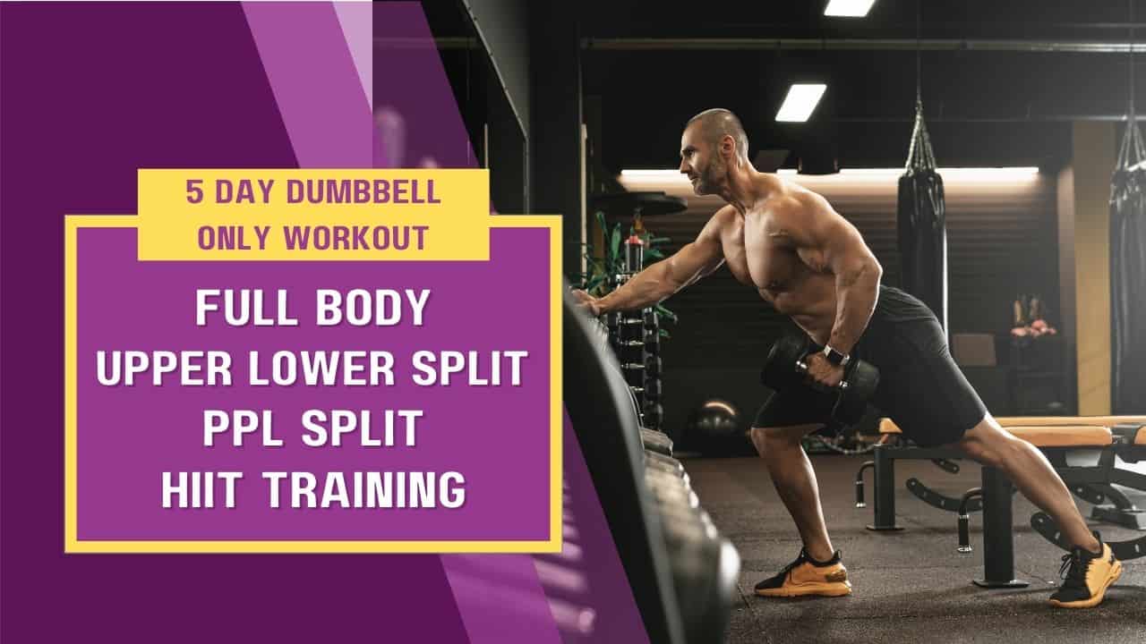 5 Day Dumbbell Workout