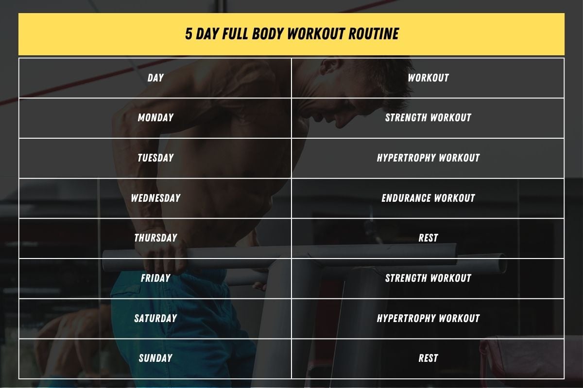 5 Day Full Body Workout Routine