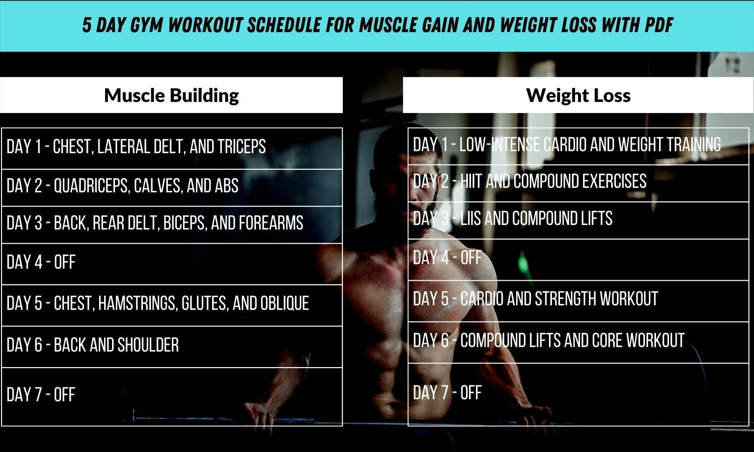 5 Day Gym Workout for Bodybuilding and Weight Loss