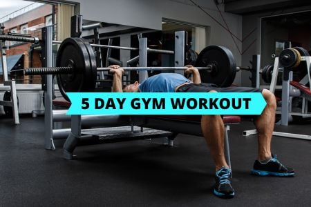 5 Day Gym Workout