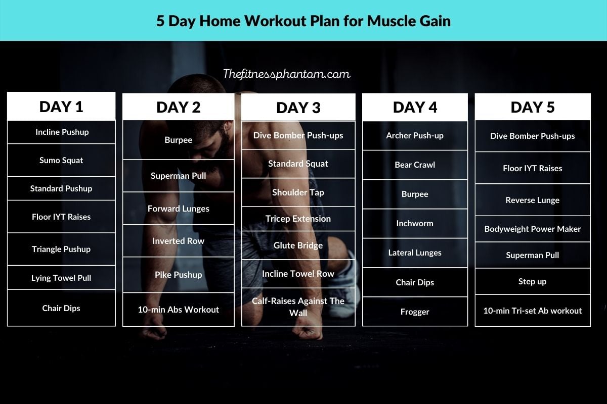 5 Day Home Workout Plan for Muscle Gain