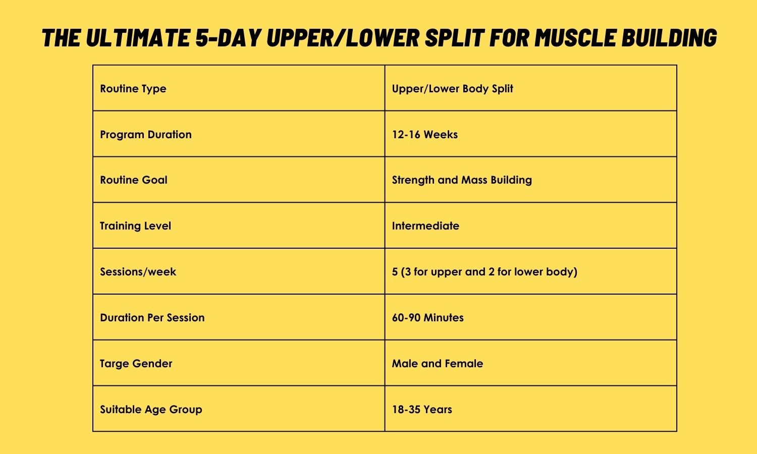 5 Day Upper Lower Split Routine