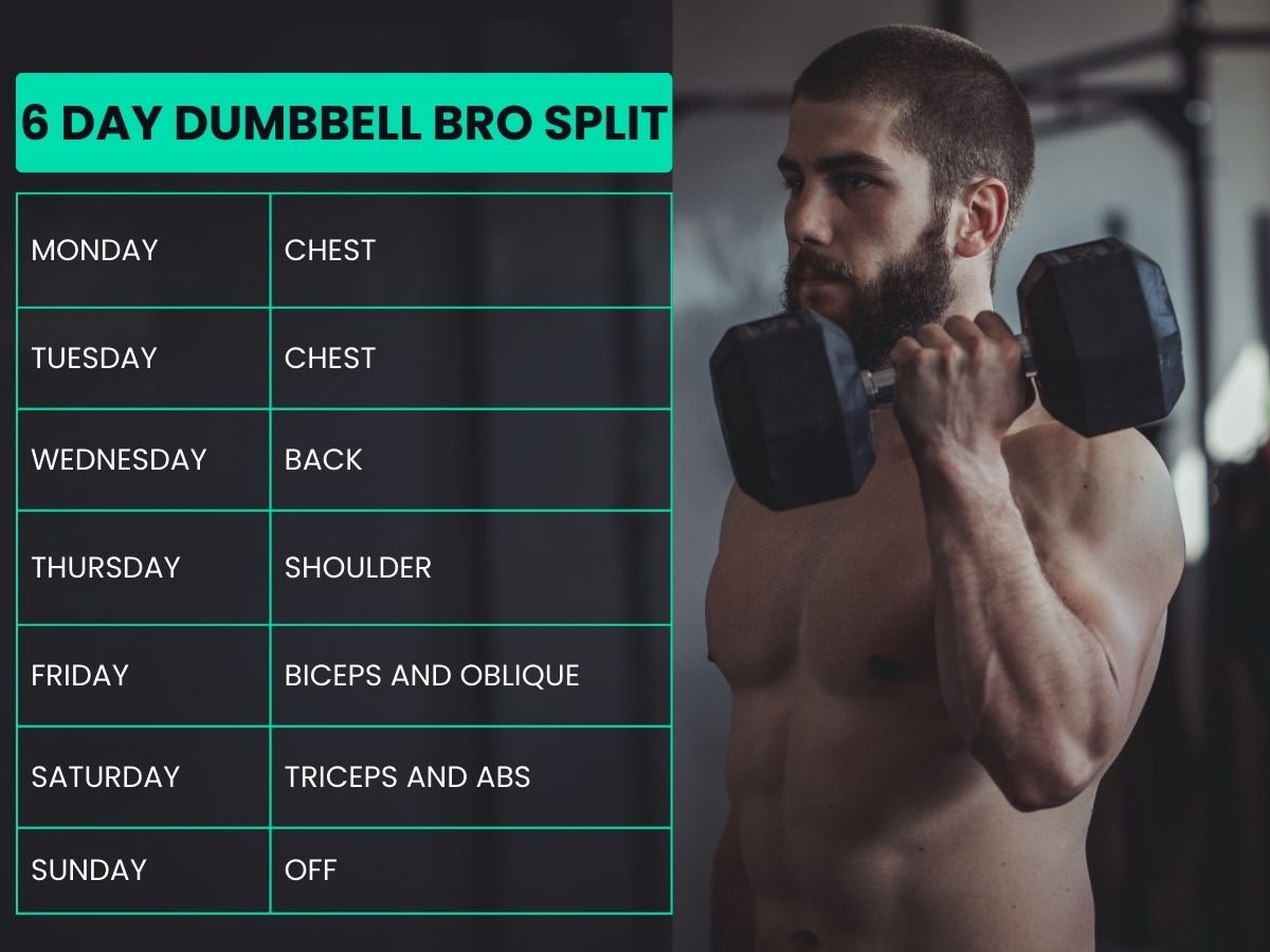 6 Day Dumbbell Bro Split