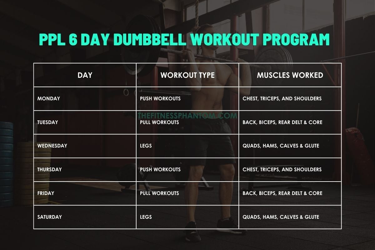 6 Day Split Dumbbell Workout