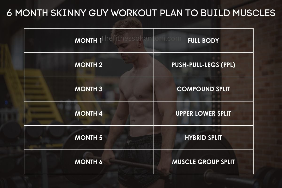 6 Month Workout Plan for Skinny Guys