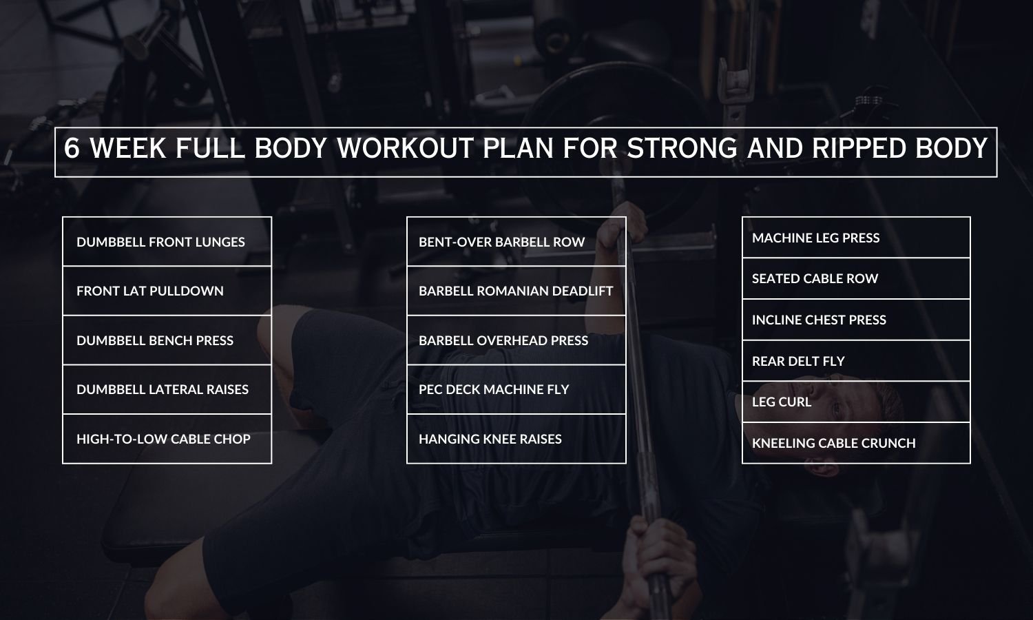 6 Week Full Body Workout Plan for Fat Loss & Lean Mass