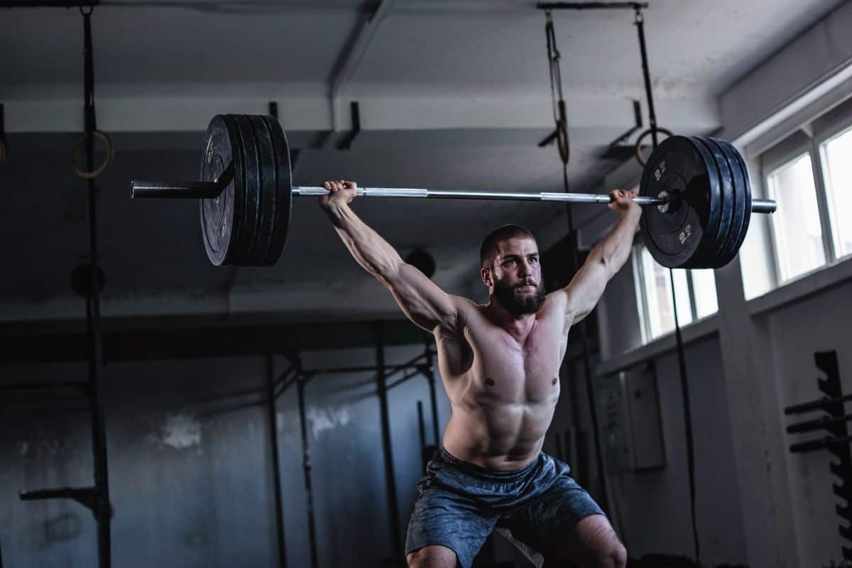 6 week full body workout program