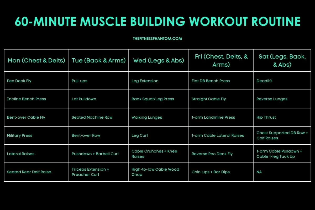 60-Minute Muscle Building Workout Plan