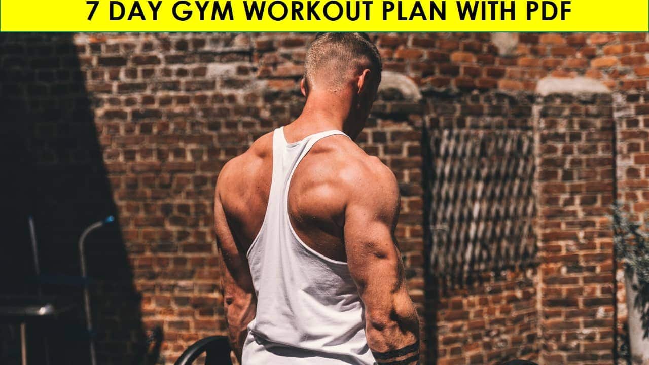 7 day gym workout plan with pdf