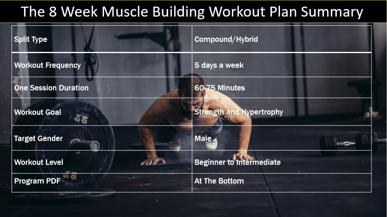8 week muscle building workout plan summary