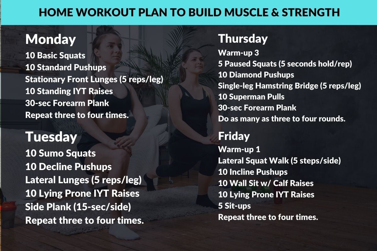 90 Day Home Workout Plan to Build Muscle & Strength w/PDF 90 Day Home Workout Plan to build muscle and strength without equipment
