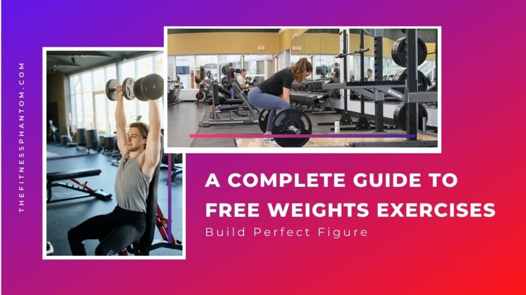 A COMPLETE GUIDE TO FREE WEIGHTS EXERCISES