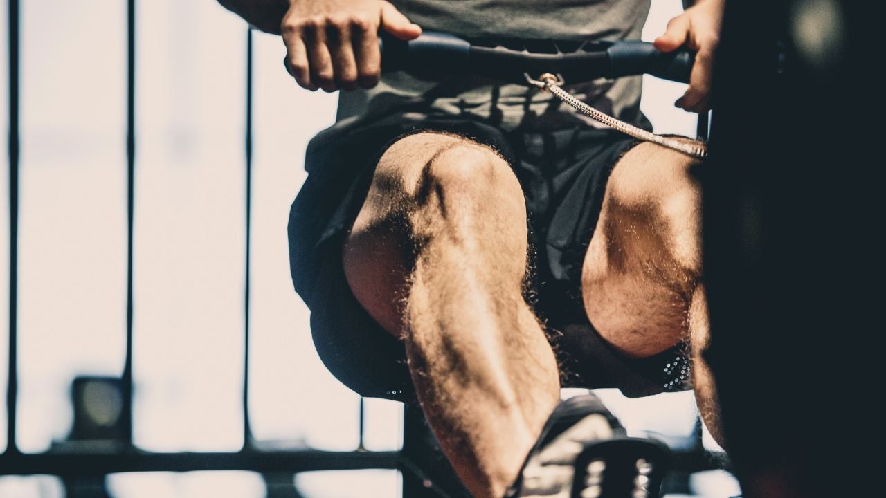 Andrew Huberman Workout Plan