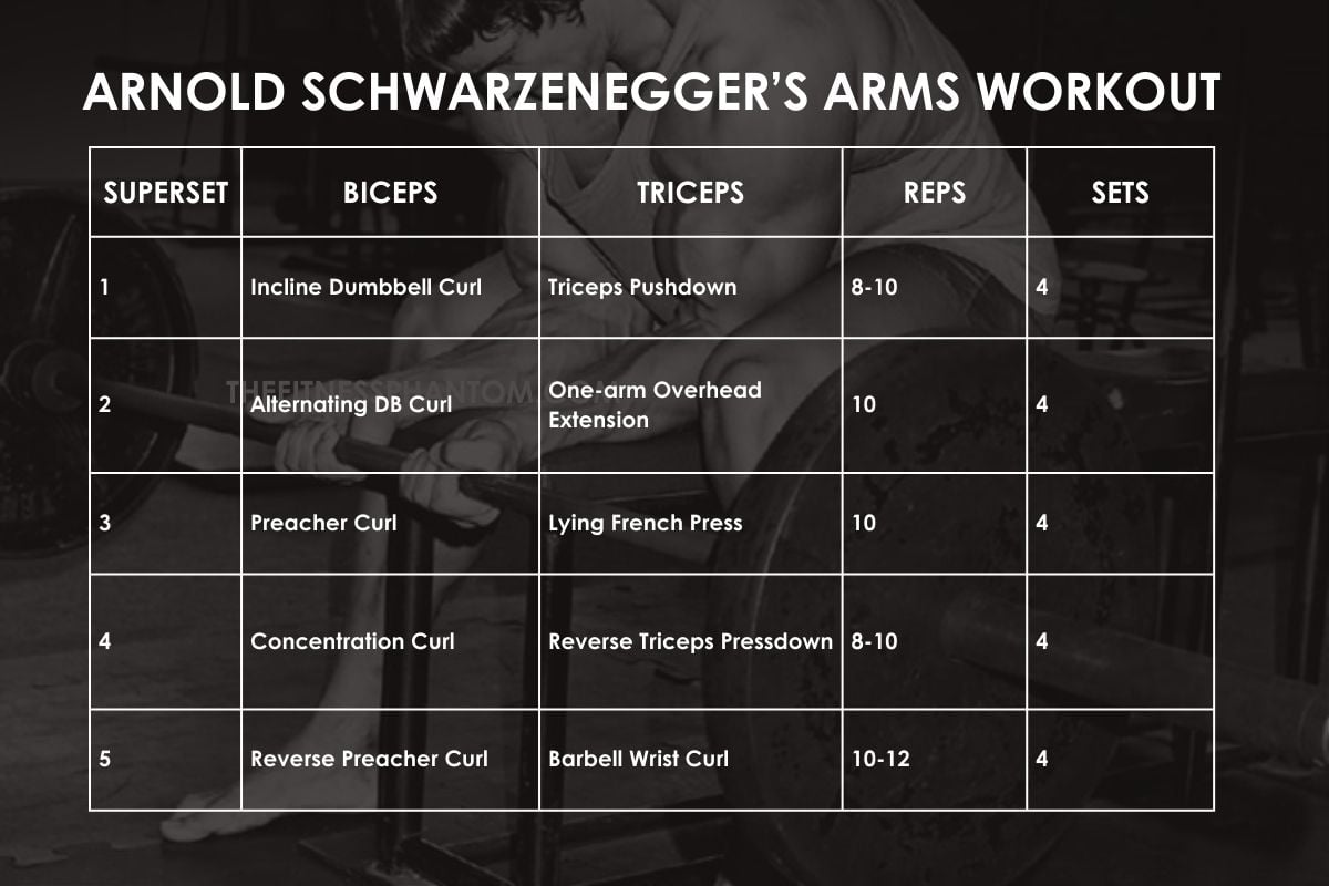 Arnold Schwarzenegger’s Arms Workout Plan