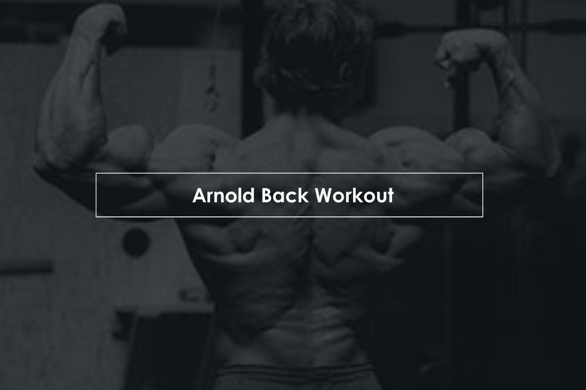 Arnold Back Workout Routine
