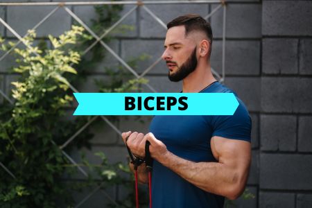 Banded Biceps Exercise