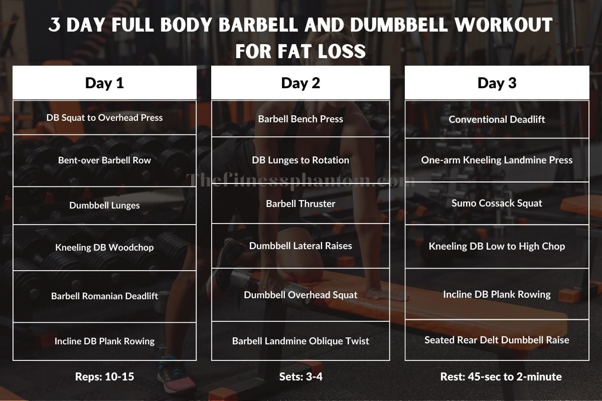 3 Day Full Body Barbell and Dumbbell Workout for Fat Loss