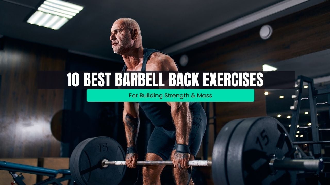 Barbell Back Exercises