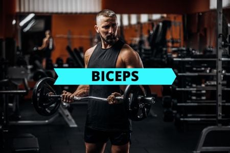 Barbell Biceps Workout