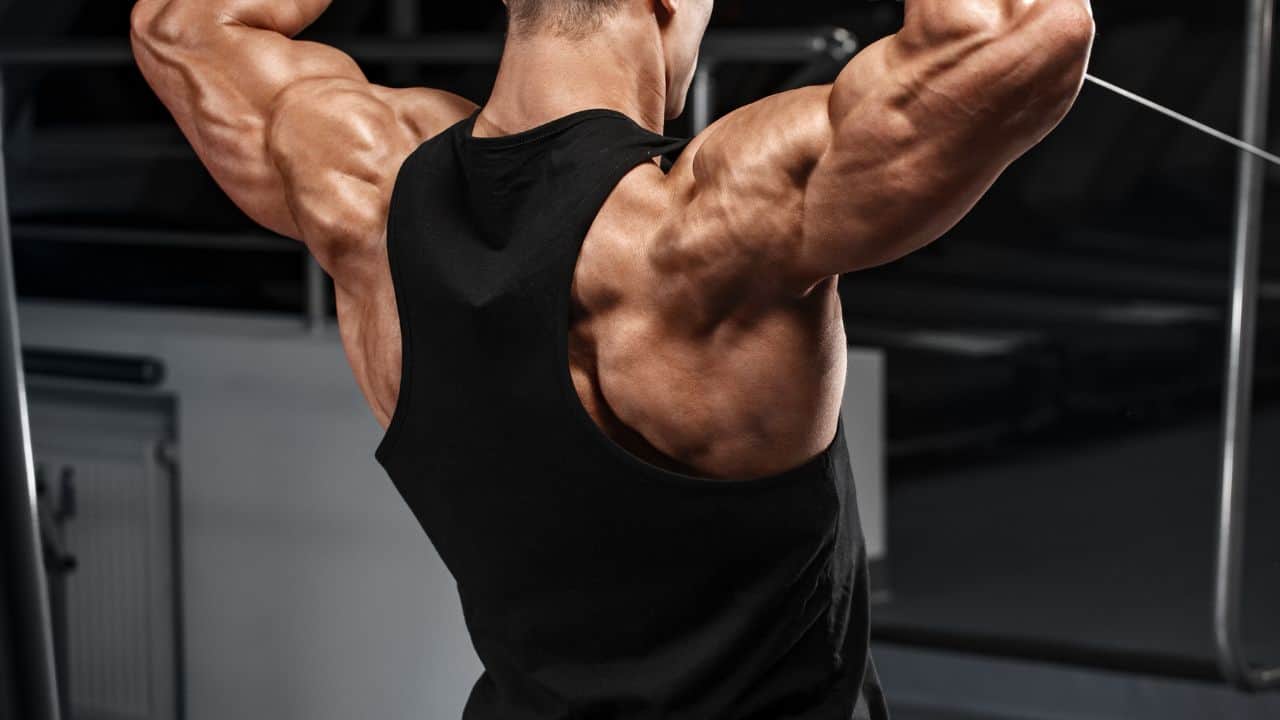 Barbell Exercises For Rear Delts