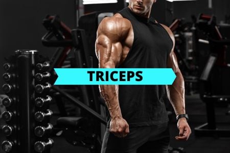 Barbell Triceps Workout