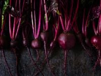 Beetroot