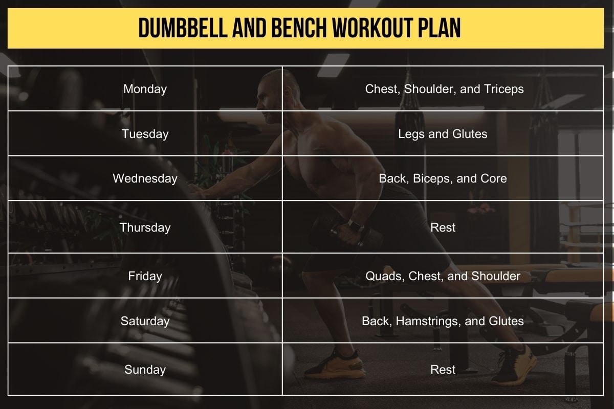 Bench and dumbbell workout routine